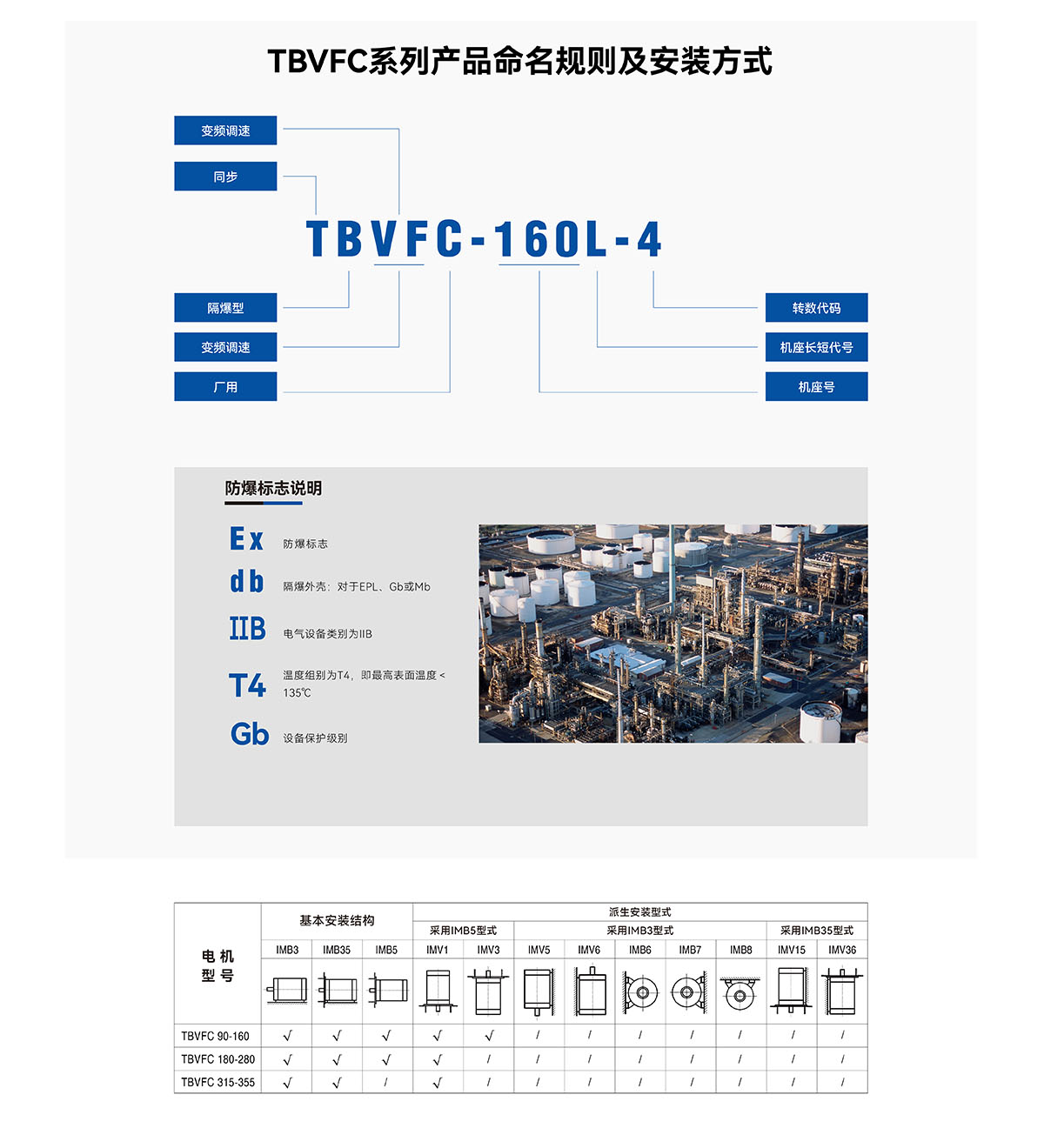 Ʒ-TBVFCҳ-02.jpg